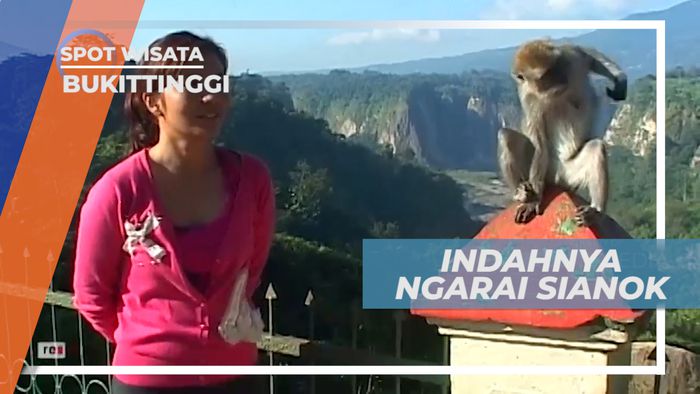 Keindahan Panorama Alam Ngarai Sianok, Bukittinggi