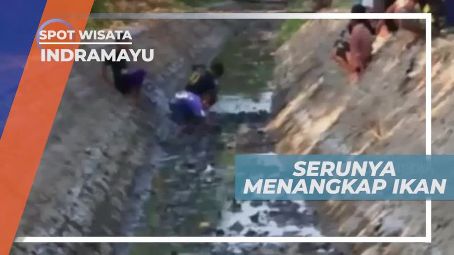 Keseruan Menangkap Ikan di Sungai Indramayu Jawa Barat