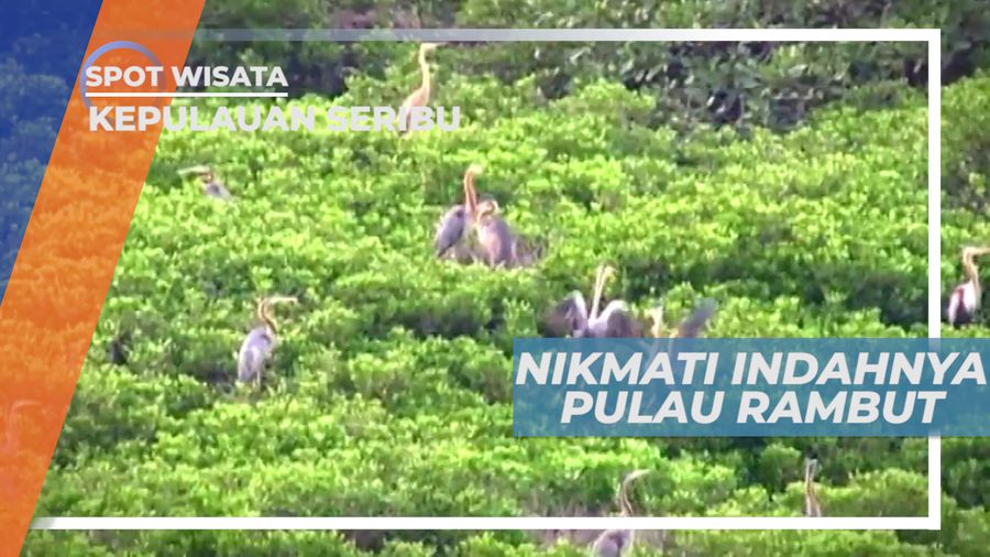 Nikmati Indahnya Pulau Rambut dari Menara Pantau, Kepulauan Seribu