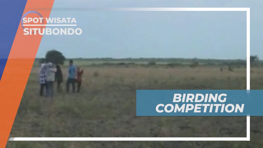 Serunya Mengikuti Birding Competition di Taman Nasional Baluran, Situbondo