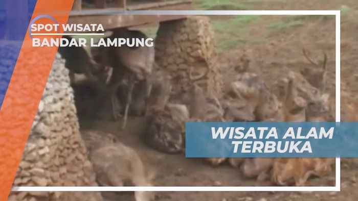 Liburan Seru, Habiskan Waktu di Taman Wisata Alam Terbuka, Bandar Lampung