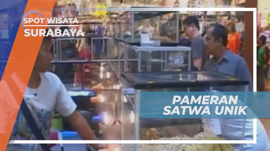 Liburan Seru, Mengunjungi Pameran Satwa Unik di Kota Pahlawan, Surabaya