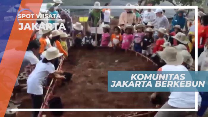 Berkenalan Dengan Komunitas Jakarta Berkebun