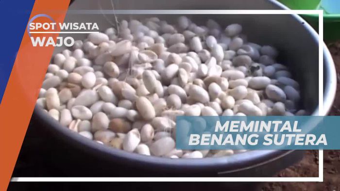 Memintal Benang Sutera di Wajo Sulawesi Selatan