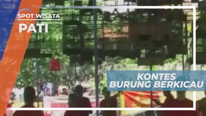 Adu Merdu Kontes Burung Berkicau di Pati