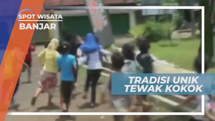 Tewak Kokok. Tradisi Unik Berebut Ayam, Banjar Patroman Jawa Barat