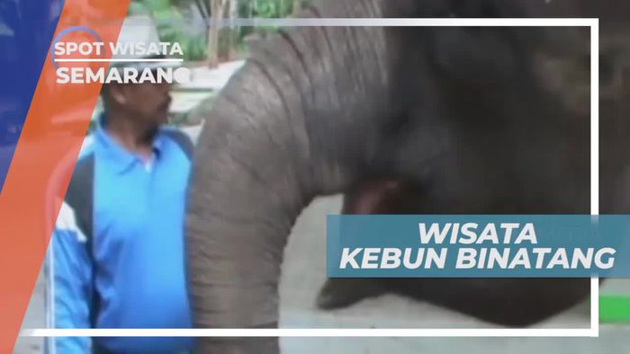 Berkunjung ke Kebun Binatang di Kota Semarang