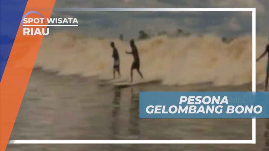 Taklukkan Gelombang Bono di Sungai Kampar, Riau