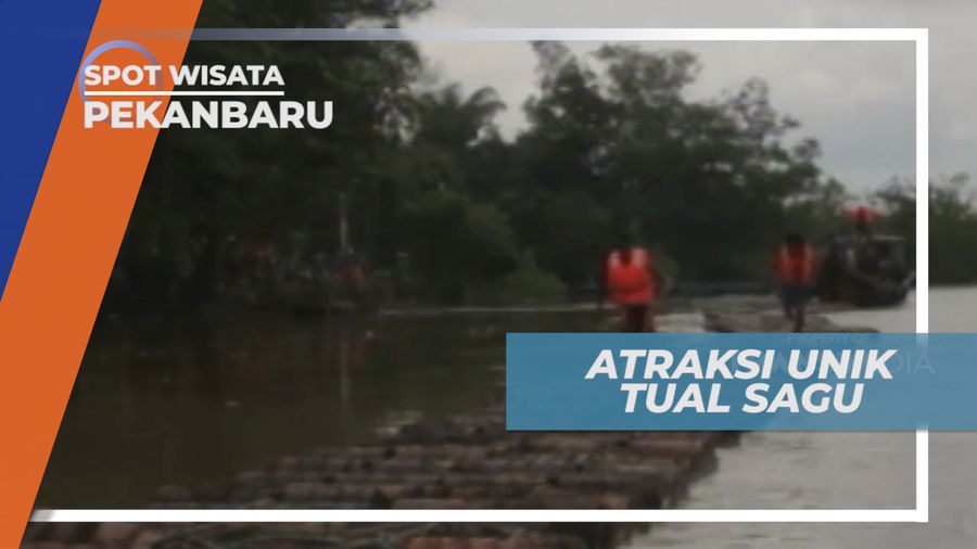 Tual Sagu, Atraksi Adu Kecepatan Berlari di Atas Deretan Batang Sagu, Pekanbaru
