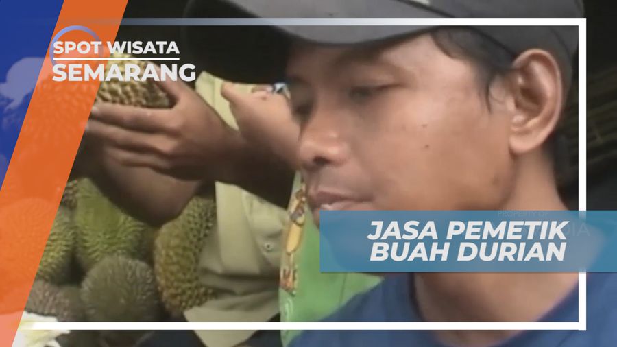 Jasa Petik Buah Durian, Pekerjaan Musiman yang Ditunggu-tunggu Warga, Semarang