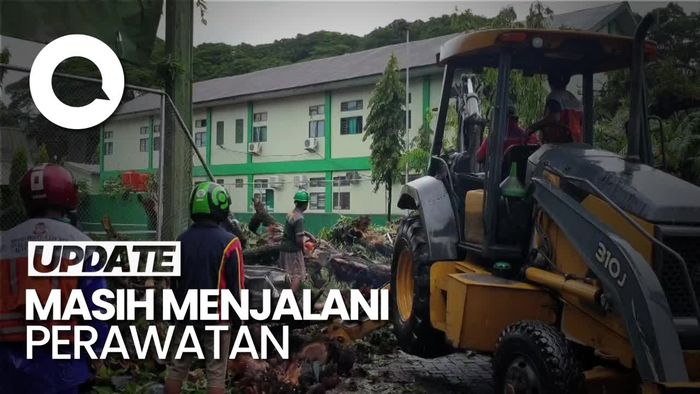  Kondisi Terkini Warga Makassar Tertimpa Pohon Tumbang saat Makan Bakso 