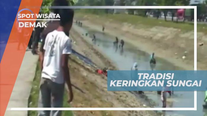 Tradisi Unik Keringkan Sungai Untuk Mencari Ikan, Demak 
