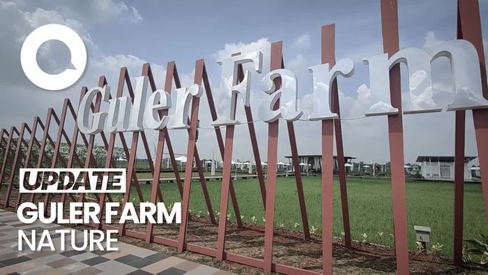 Lepas Penat dengan Makan Enak Sambil Nikmati Pemandangan Hijau