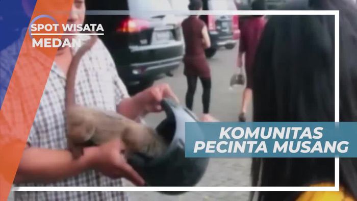 Berkenalan Dengan Komunitas Pecinta Musang Asal Kota Medan
