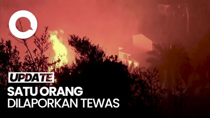 Kebakaran Hutan Dahsyat di Chili,130 Rumah Rusak