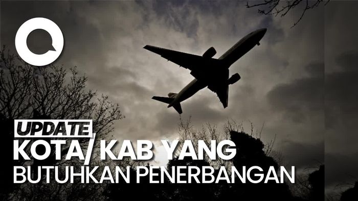 Pemerintah Minta Pemda Beri Subsidi untuk Penerbangan Domestik
