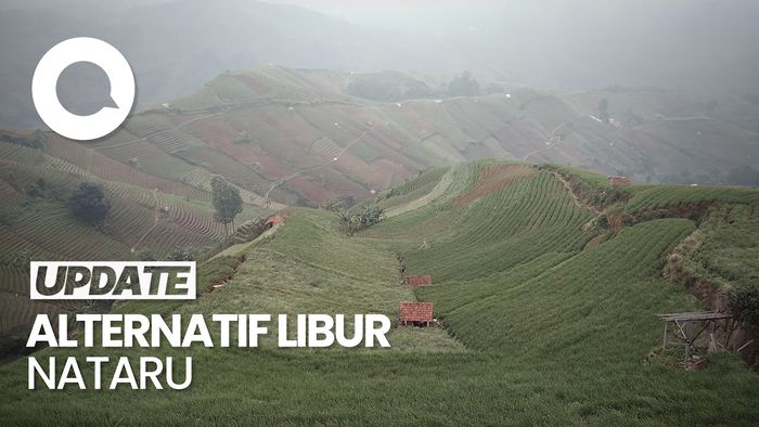 Menikmati Keindahan Alam di Terasering Panyaweuyan Majalengka