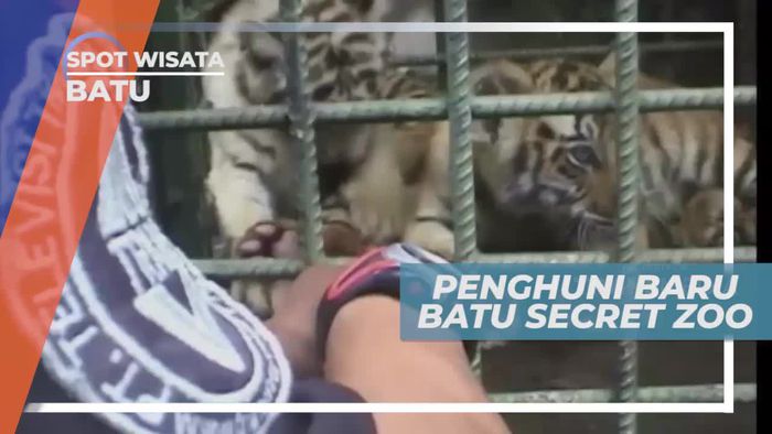 Berkenalan Dengan Satwa Penghuni Kebun Binatang Kota Batu