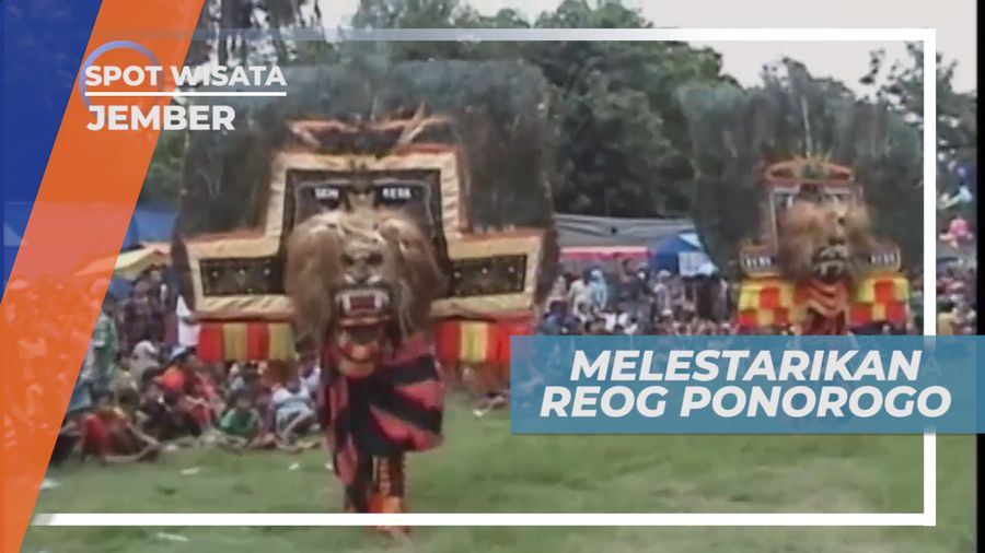 Pagelaran Budaya, Antusian Warga Menyaksikan Parade Reog Ponorogo, Jember