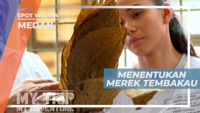Berbagai Jenis Tembakau dengan Kualitas yang Beragam, Medan