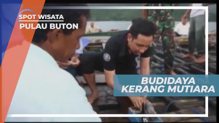 Kerang Mutiara, Potensi Sumber Daya Alam di Pulau Buton
