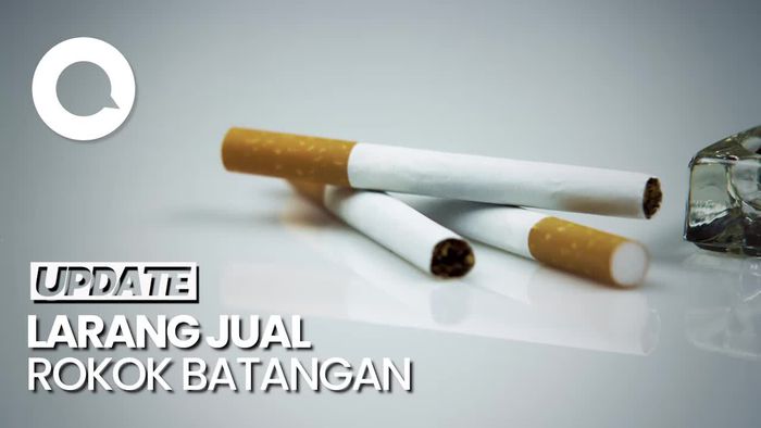  Sederet Larangan Jokowi soal Rokok