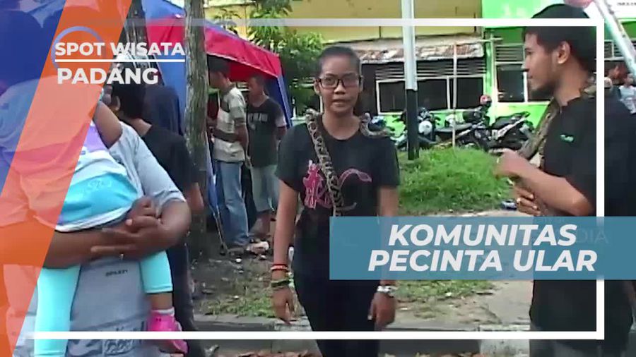 Berkenalan Dengan Komunitas Pecinta Ular di Kota Padang 