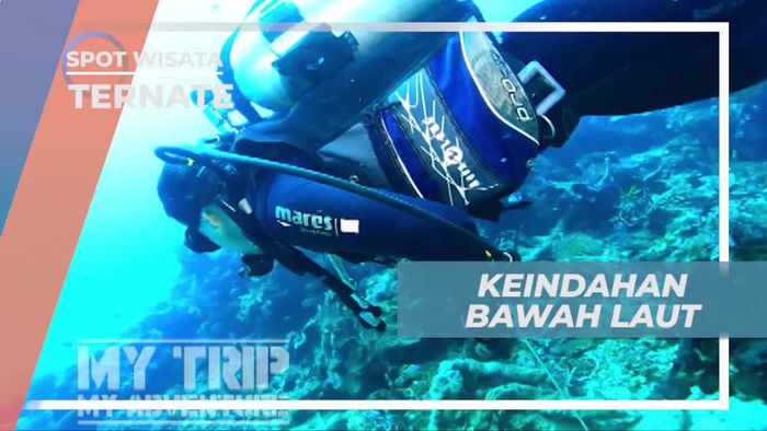 Menikmati Keindahan Bawah Laut Ternate Maluku Utara