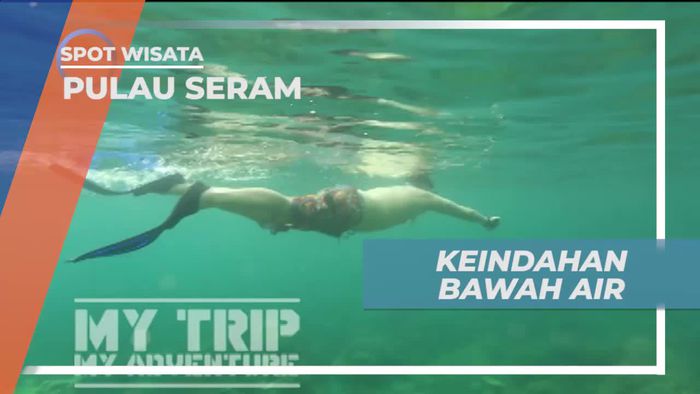 Kecantikan Aneka Biota Laut di Pulau Seram Maluku