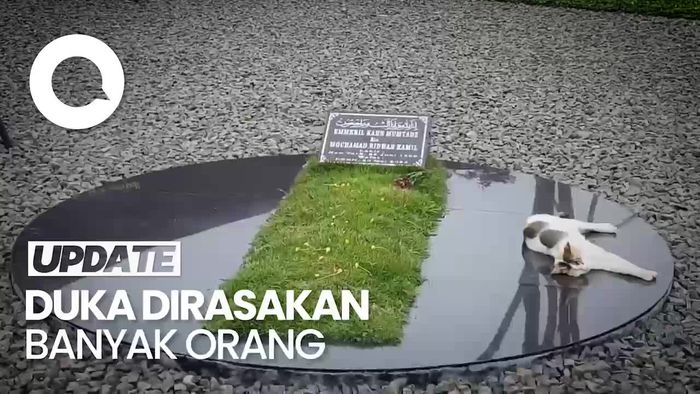 Magnet Makam Eril Hingga Kucing Penjaga yang Setia