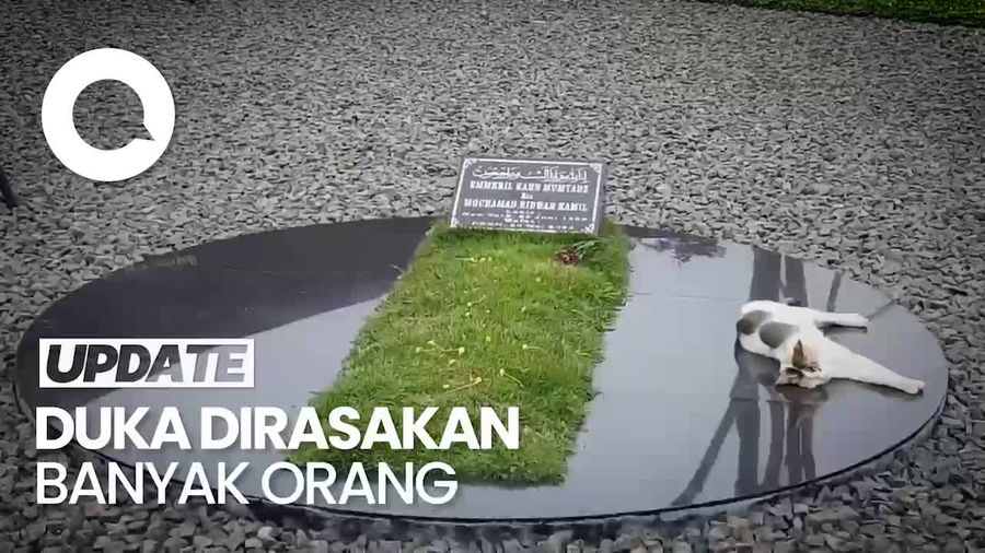 Magnet Makam Eril Hingga Kucing Penjaga yang Setia