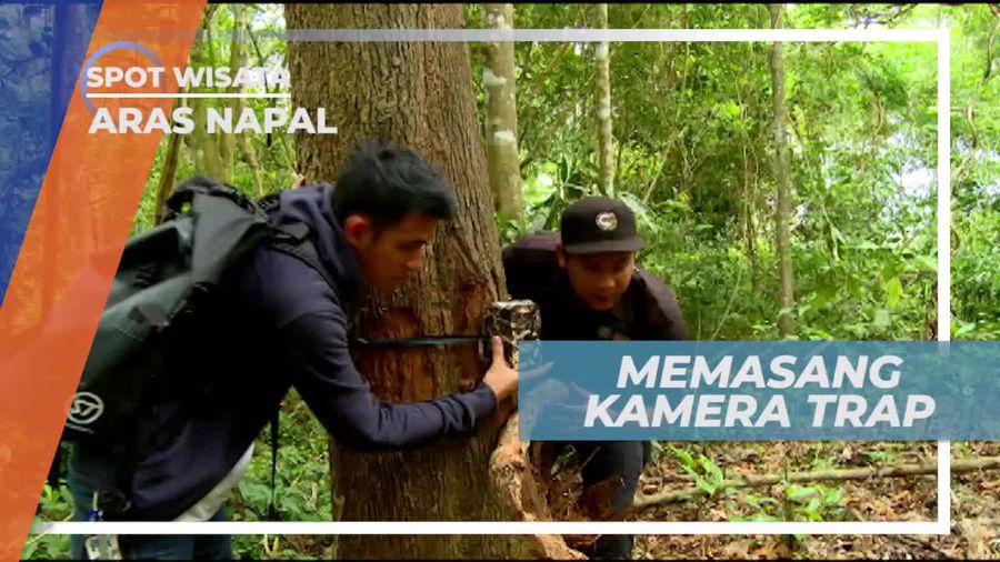 Camera Trap, Media Untuk Memonitor Aktivitas Satwa di Hutan Aras Napal Sumatera Utara