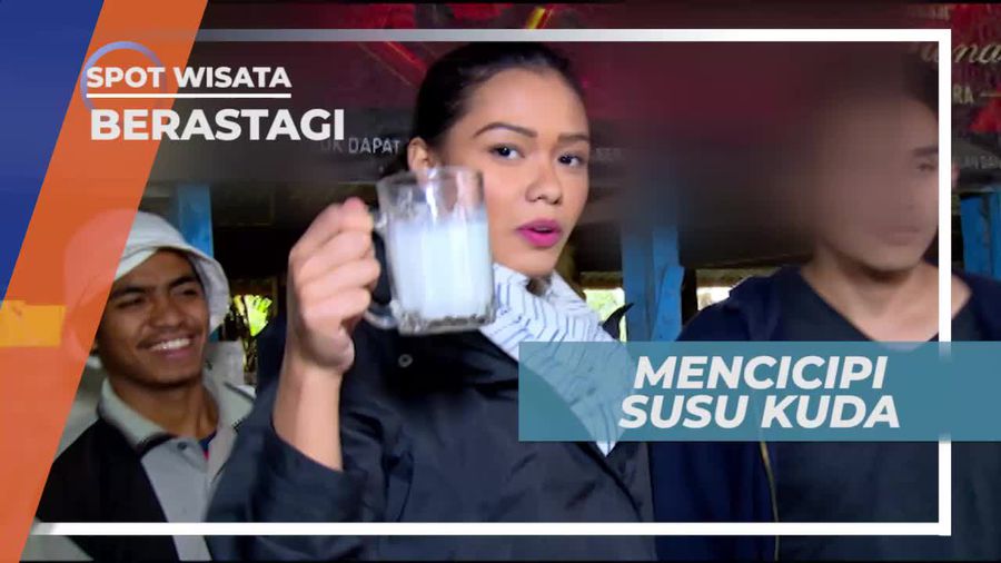 Mencicipi Susu Kuda, Minuman Alami yang Berkhasiat, Berastagi Sumatera Utara