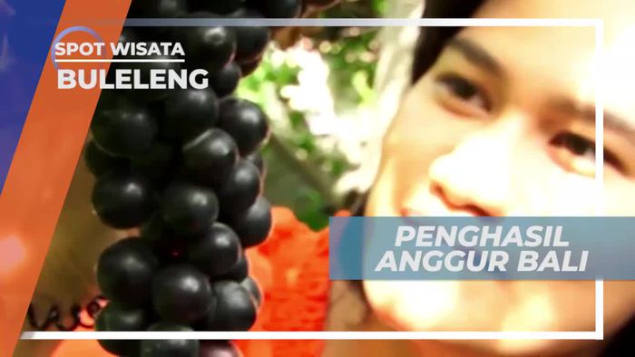 Buleleng, Sentra Penghasil Anggur Bali   