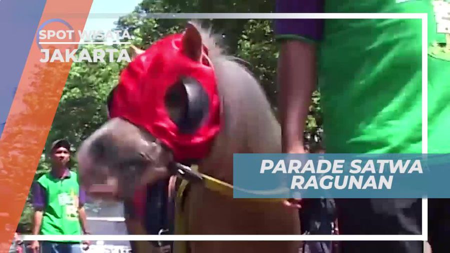 Parade Satwa di Kebun Binatang Ragunan Jakarta