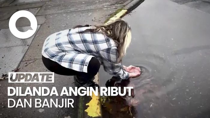 AS dihantam Cuaca Ekstrem, Ubur-Ubur Terseret ke Jalanan