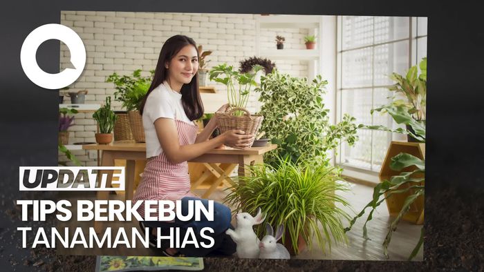 Trend Berkebun Tanaman Hias Kian Meningkat, Berikut Tipsnya Bagi Pemula