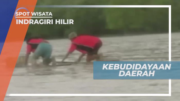 Menongkah Kerang, Kegiatan Tradisional Warga Indragiri Hilir, Riau