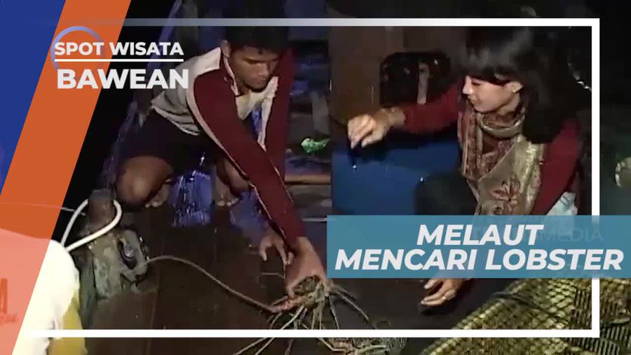 Berburu Lobster di Tepi Pantai Bawean Jawa Timur          