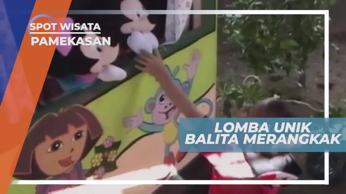 Adu Cepat Balita Merangkak, Lomba Unik di Pamekasan Jawa Timur             