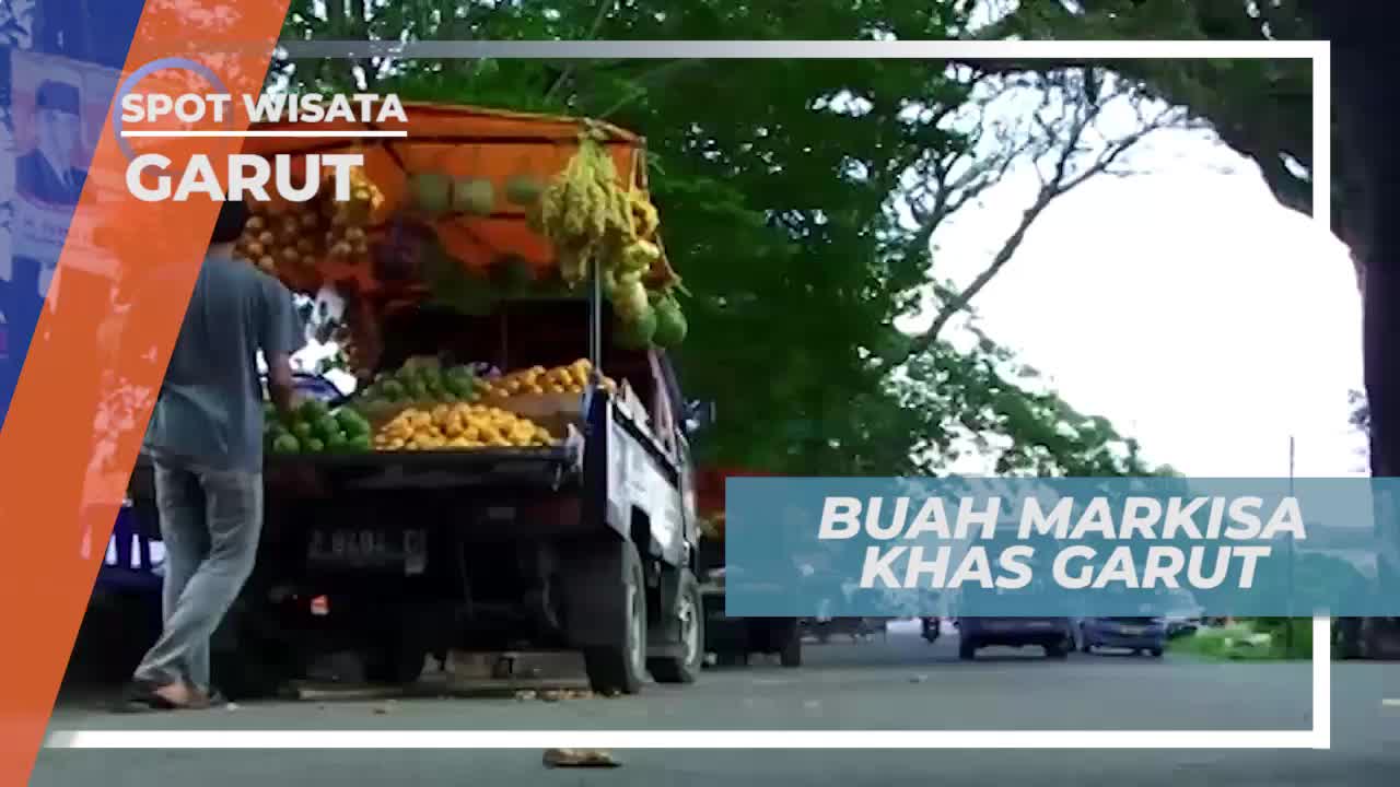 Konyal Buah Markisa Hutan Yang Mulai Langka Garut 