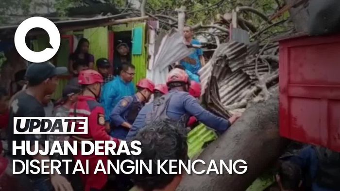 Proses Evakuasi Lansia yang Tertimpa Pohon Tumbang di Makasssar