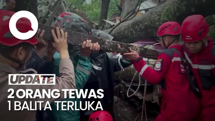 2 Tewas dan 1 Balita Terluka Tertimpa Pohon Tumbang di Makassar