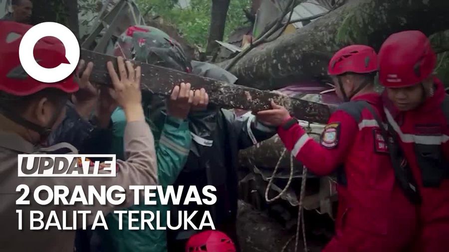 2 Tewas dan 1 Balita Terluka Tertimpa Pohon Tumbang di Makassar
