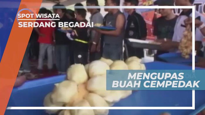 Mengupas Buah Cempedak di Serdang Begadai