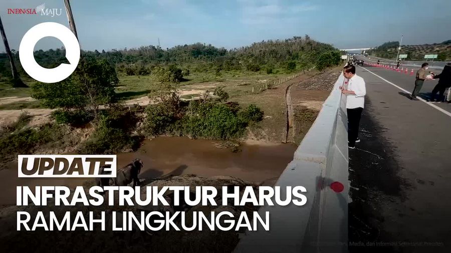 Jokowi Cek Terowongan Gajah di Tol Pekanbaru