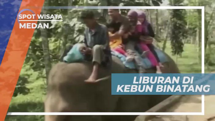 Berinteraksi Bersama Satwa Lucu di Kebun Binatang Medan                   