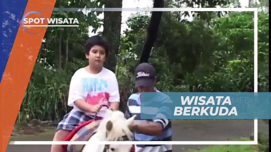 Berkuda Menikmati Udara Sejuk Kawasan Hutan Pinus, Gowa                  
