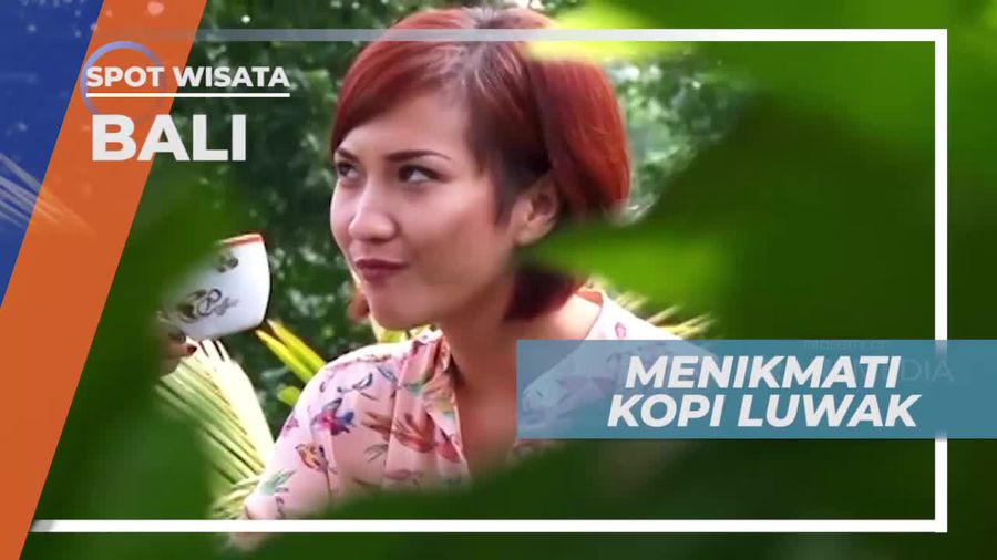Menikmati Cita Rasa Khas Kopi Luwak, Bali                    