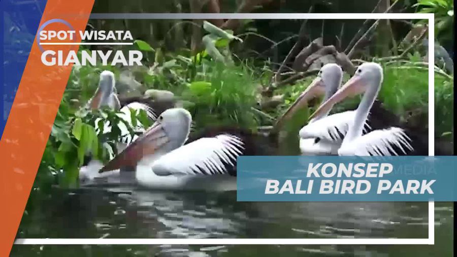 Bali Bird Park, Penangkaran Aneka Burung Endemik, Gianyar              